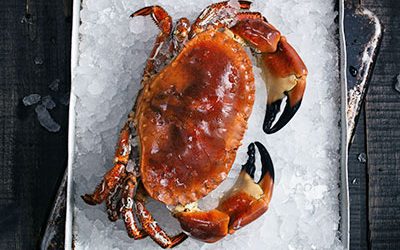 Soft and Juicy Whole Boiled Crab